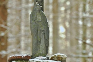 Zusch
